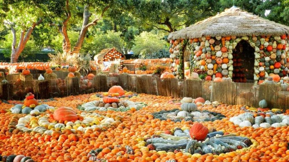 Dallas Arboretum
