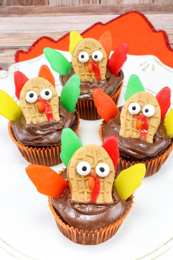 Chocolate cupcakes with garnishing